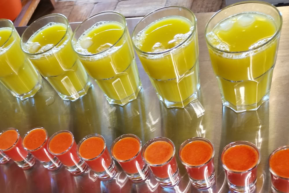 Juice Detox, Yoga & Wellness Retreat – 17 Oct 2026 - 27 Oct 2026