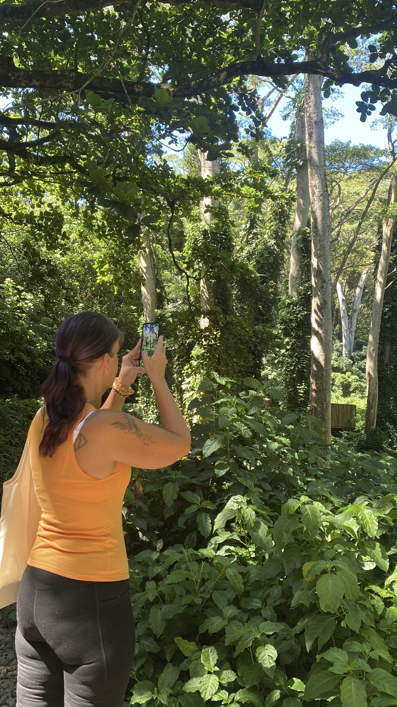 3 Day Private Spiritual & Healing Retreat in Hawaii