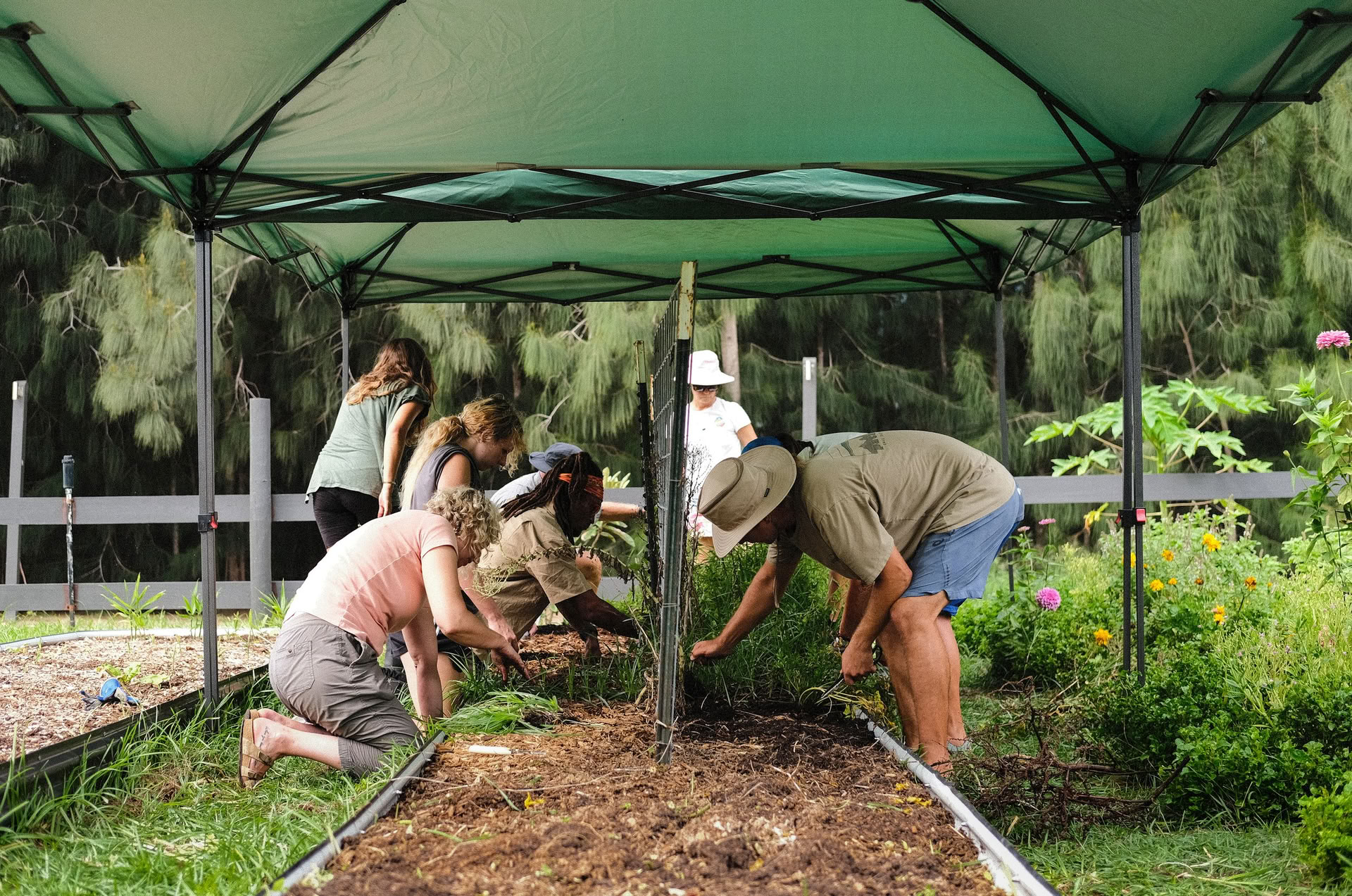 Farm Volunteer Day — ChoZen Retreat