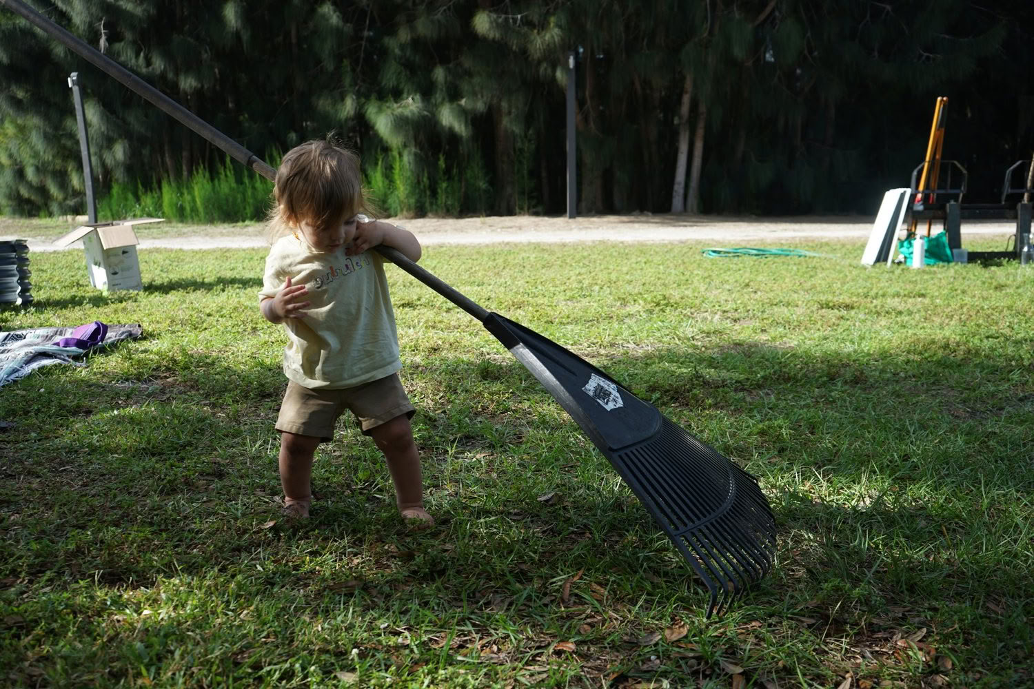 Farm Volunteer Day — ChoZen Retreat