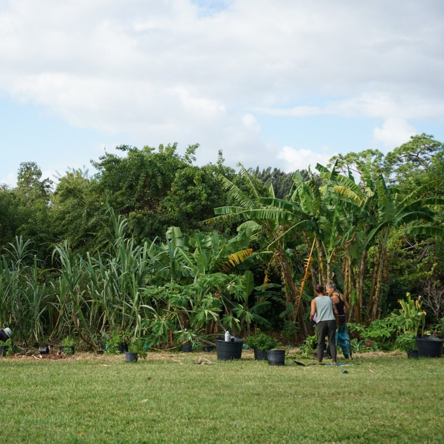 Farm Volunteer Day — ChoZen Retreat