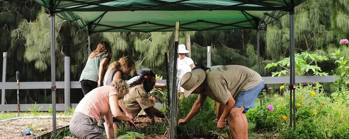 Farm Volunteer Day — ChoZen Retreat