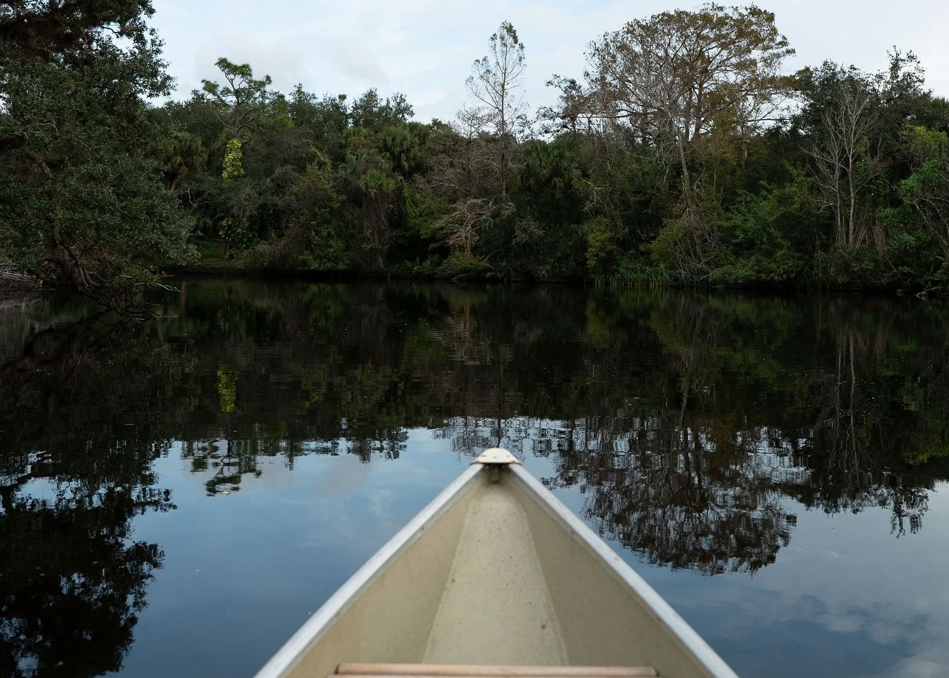 Wild Florida Family Spring Retreat