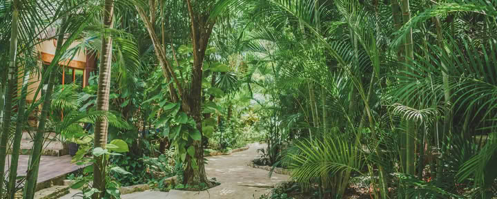 Source Tantra Couples Vacation Seminar