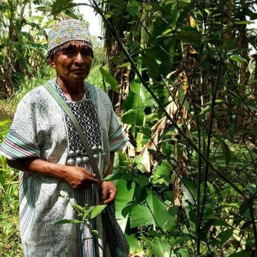 Ayahuasca Peru Retreat with Ancient Ceremonies (5 Days)