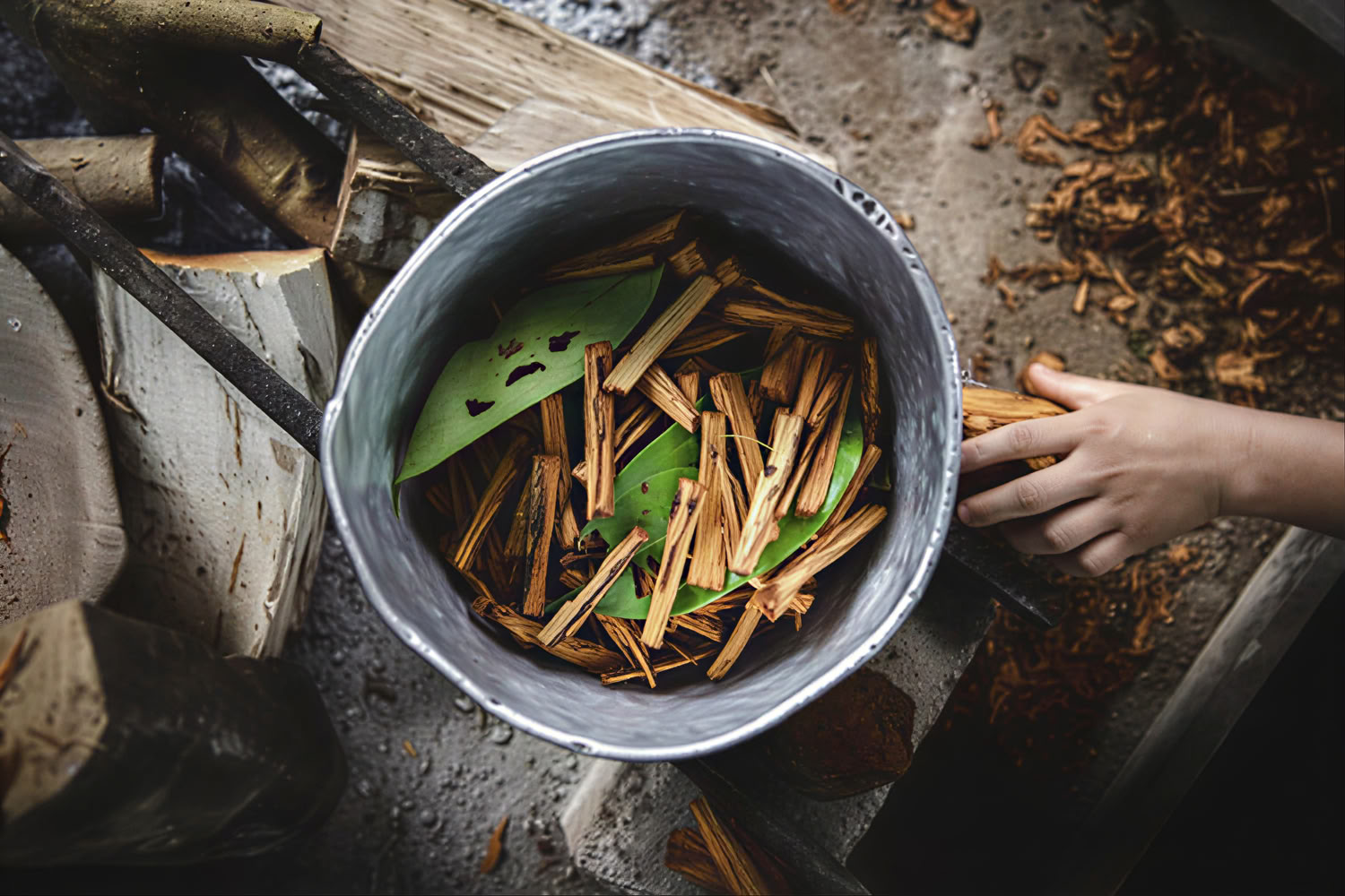 Private Ayahuasca Retreat with Andean Rituals (3 Days) Ayahuasca Ceremony Retreat with Andean Rituals (private, 3 days) 2 Ayahuasca sessions