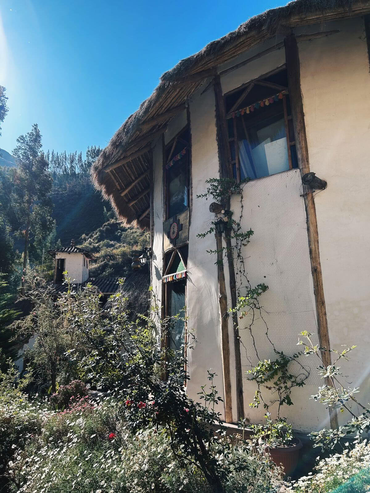Private Ayahuasca Retreat with Andean Rituals (3 Days) Ayahuasca Ceremony Retreat with Andean Rituals (private, 3 days) 2 Ayahuasca sessions