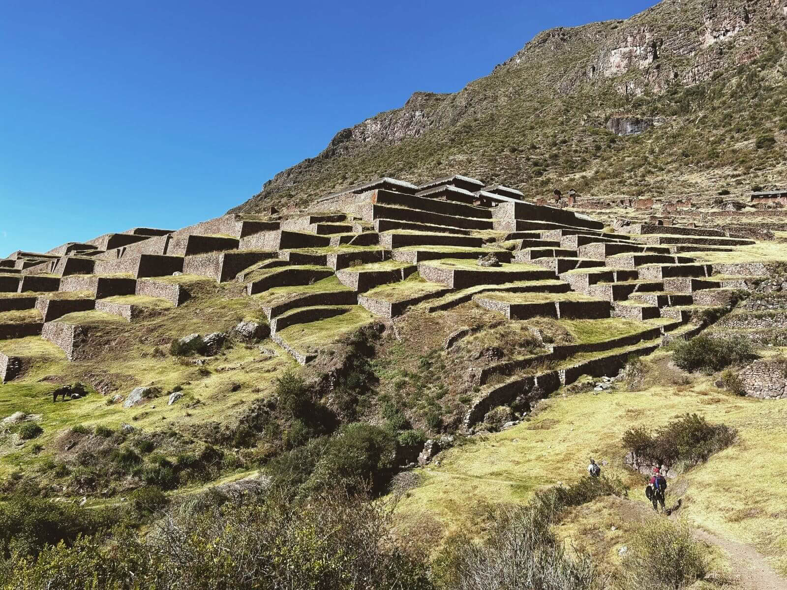 3 Days Spiritual Huchuy Qosqo Trek with San Pedro Medicine