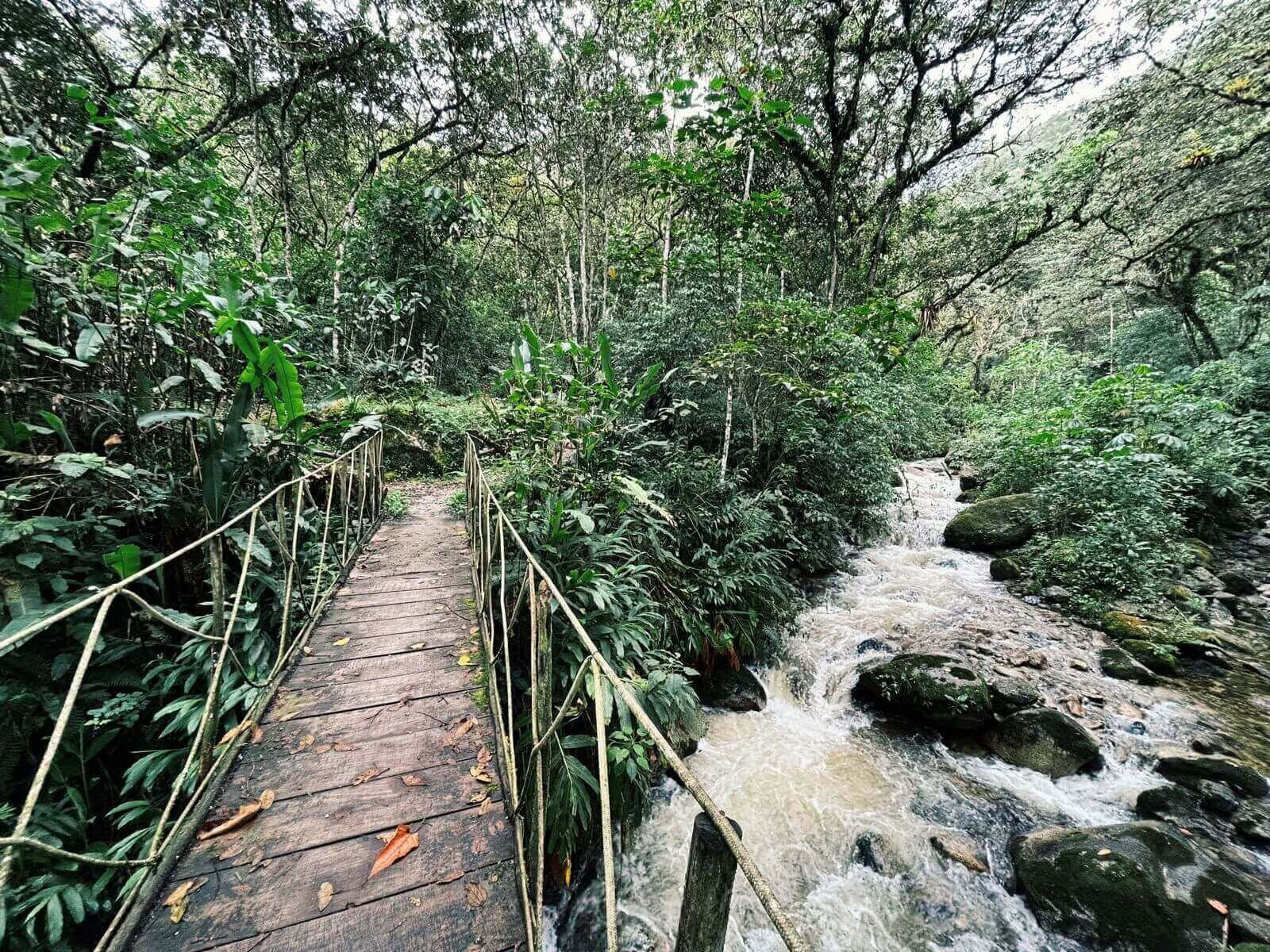 Mystical Machu Picchu: Trip with Mindful Moments (2 Days)