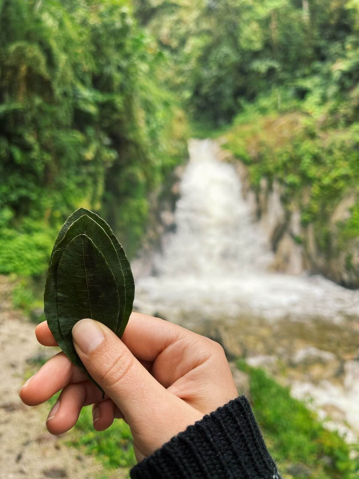 Mystical Machu Picchu: Trip with Mindful Moments (2 Days)
