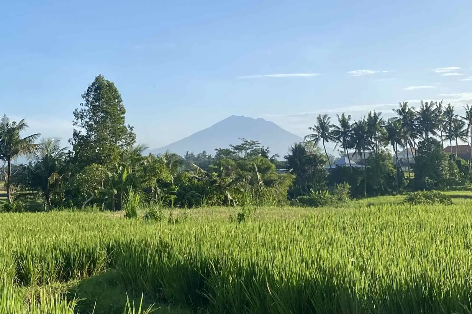 Complimentary Morning Walk