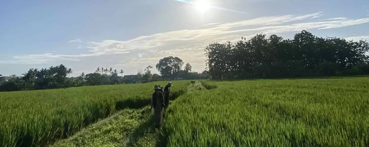 Complimentary Morning Walk