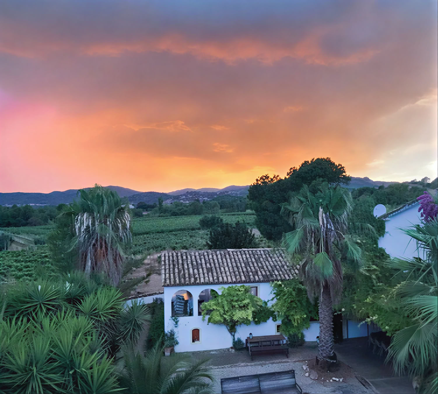 Yoga and Healing with Horses: 5-Day Retreat