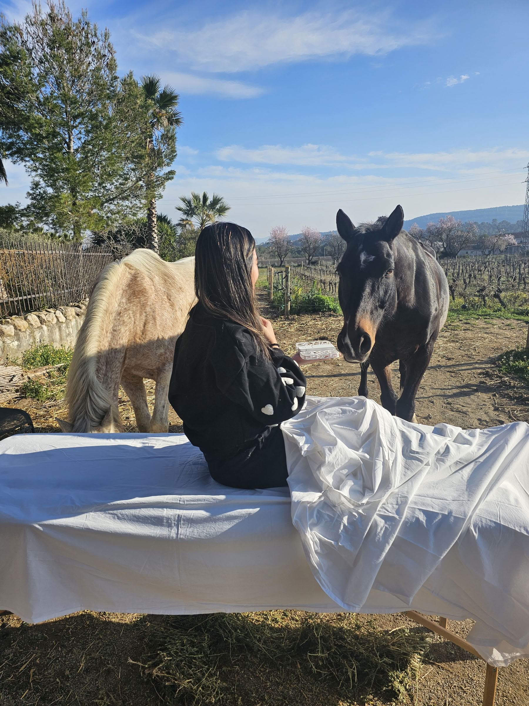 Yoga and Healing with Horses: 5-Day Retreat