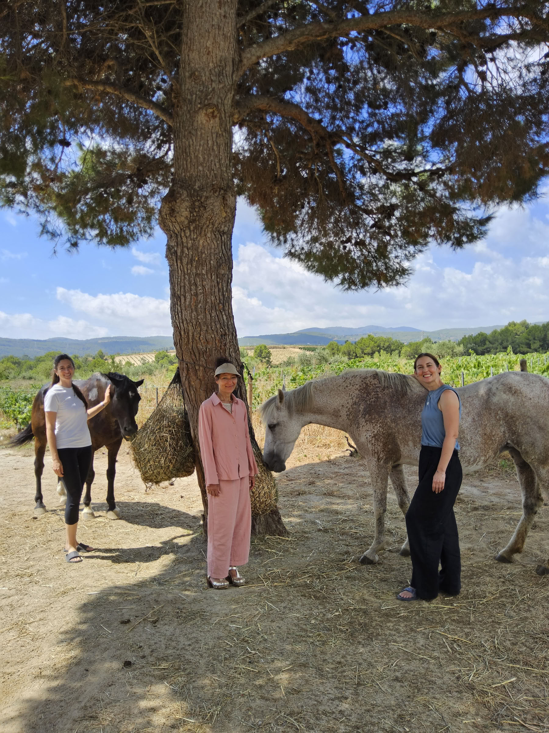 Yoga and Healing with Horses: 5-Day Retreat