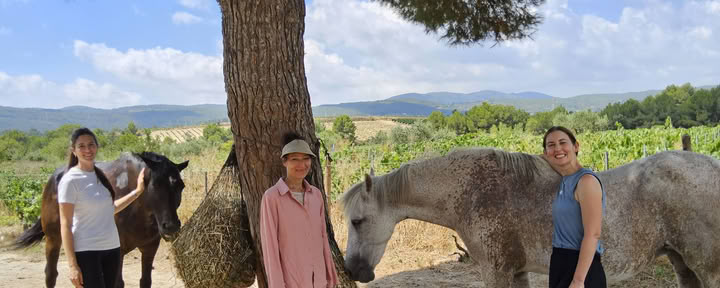 Yoga and Healing with Horses: 5-Day Retreat