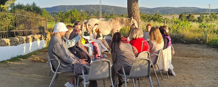 Alaya Corporate Retreat