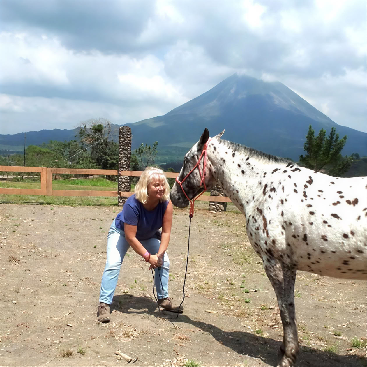 Yoga & Healing with Horses