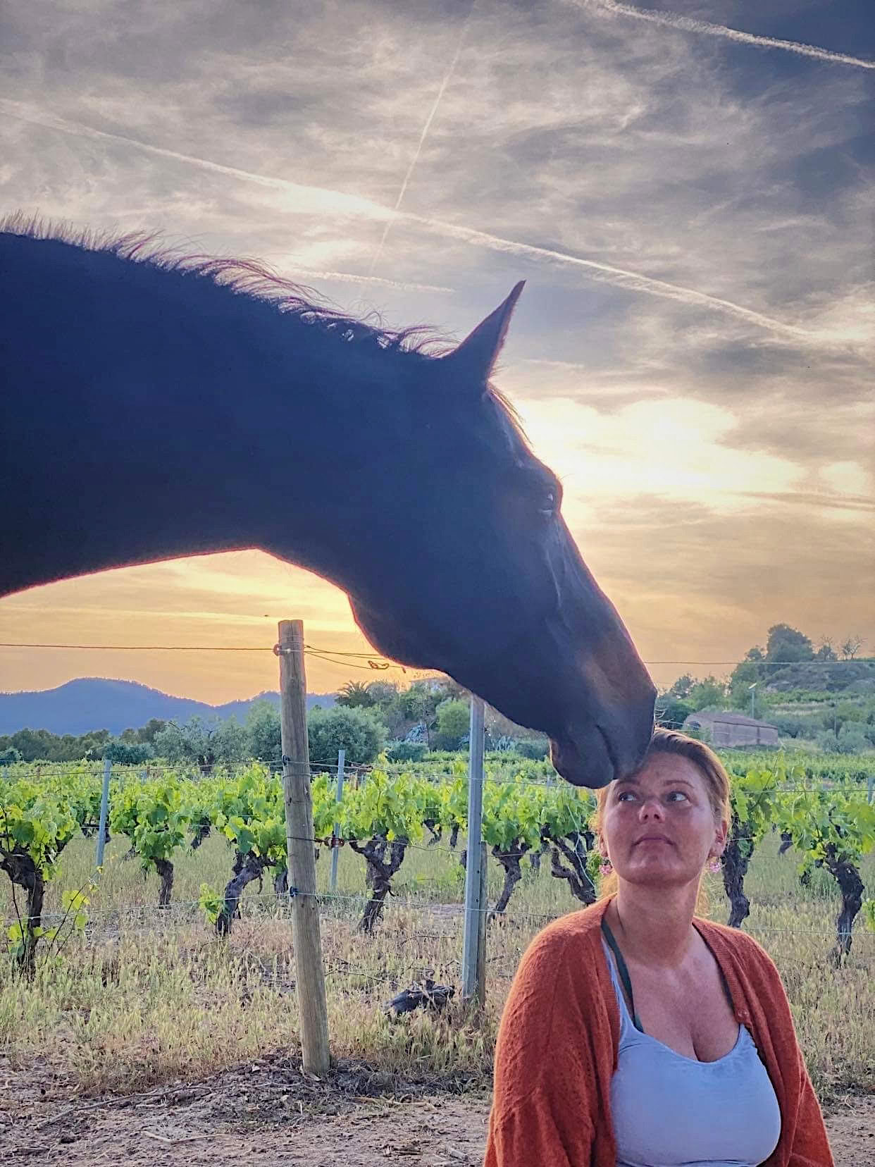 Yoga & Healing with Horses
