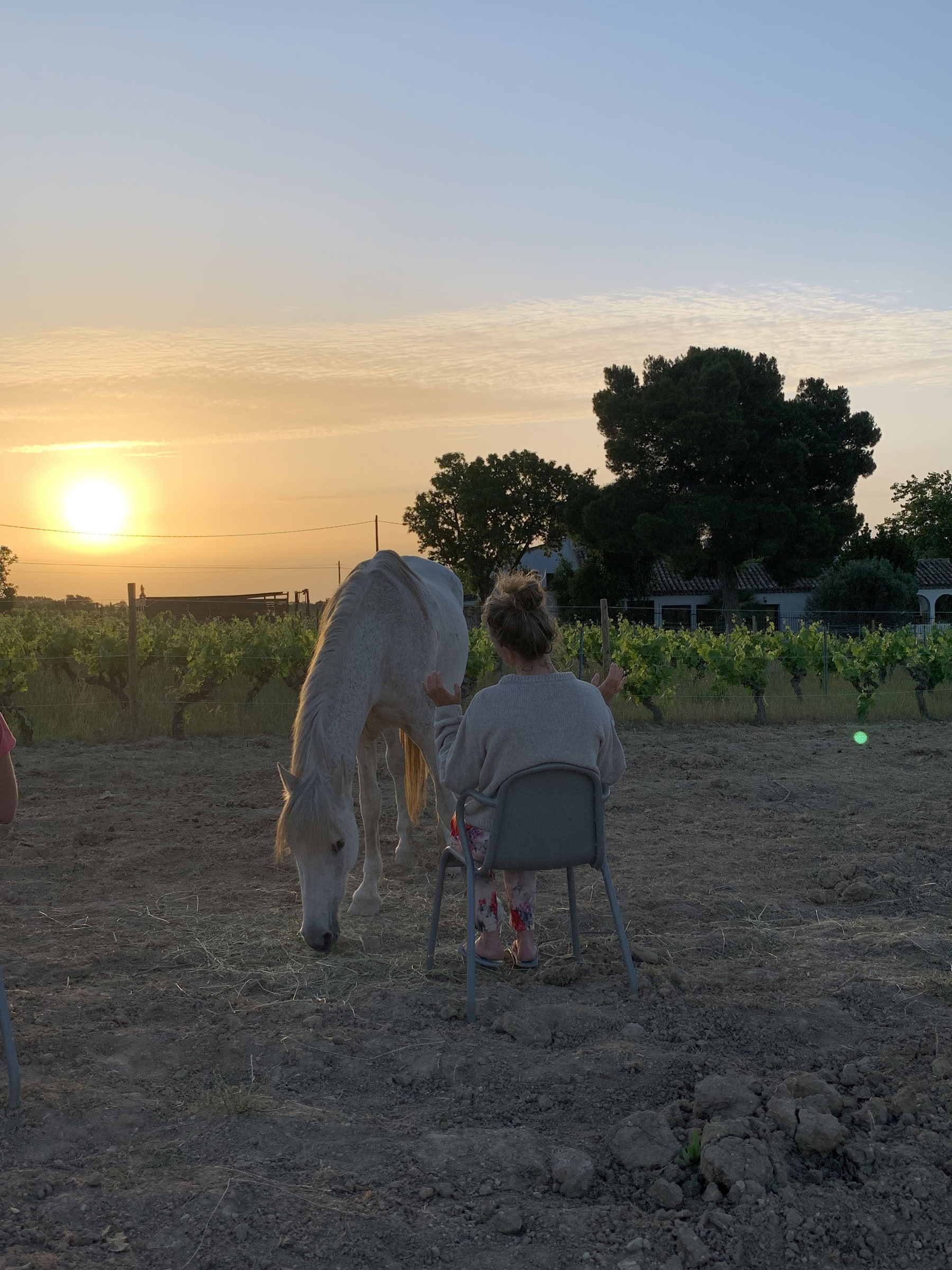 Yoga & Healing with Horses