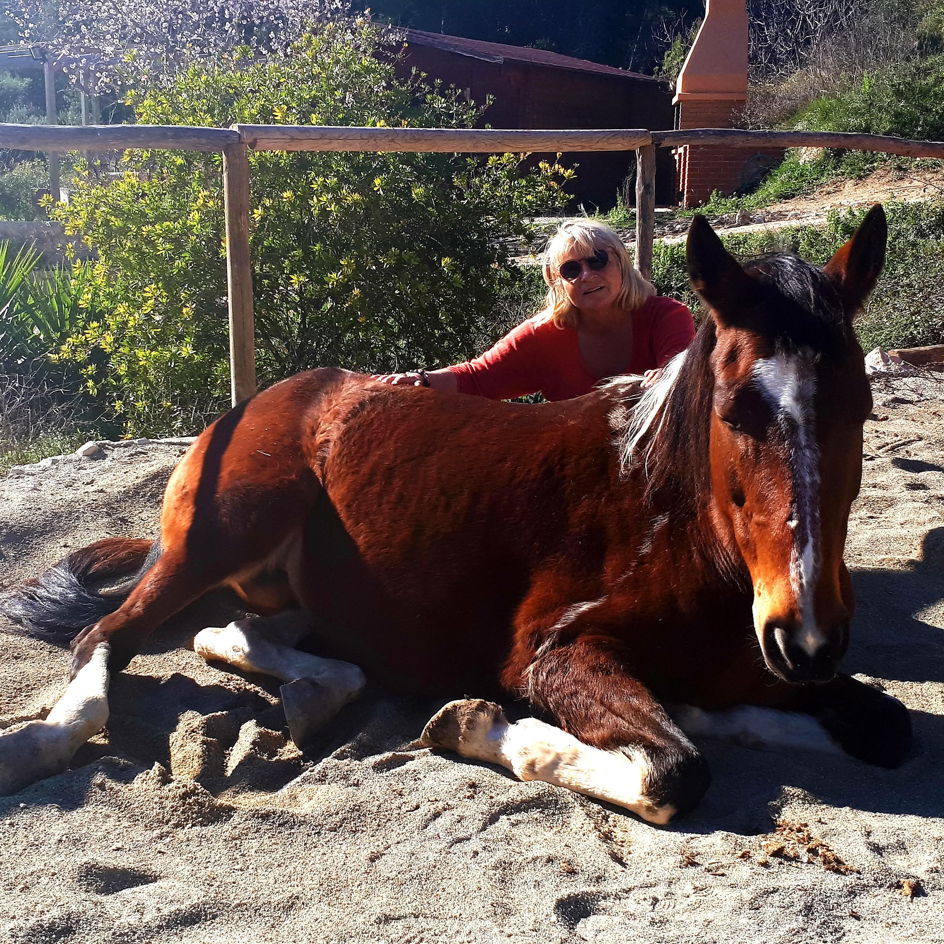 Yoga & Healing with Horses