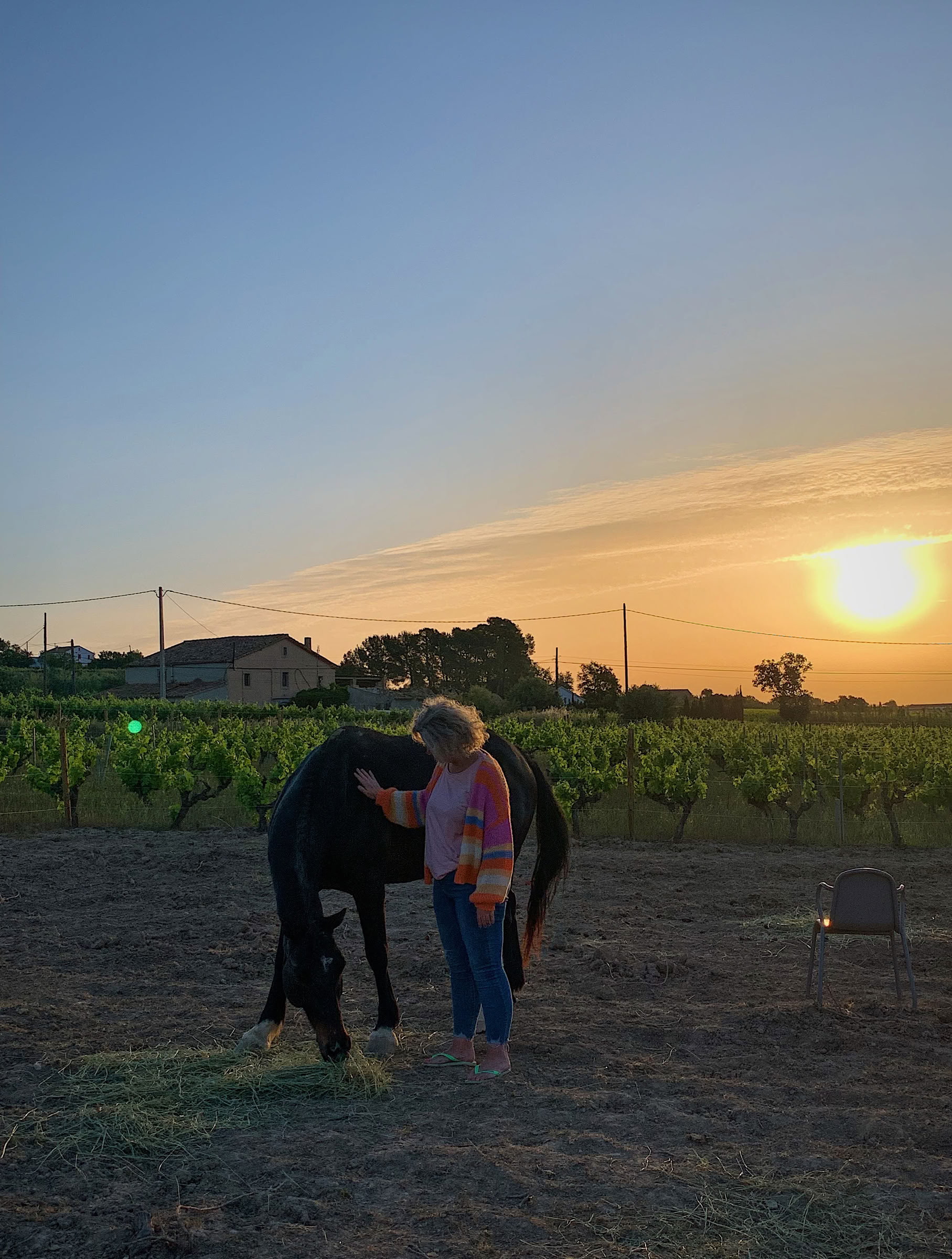 Yoga & Healing with Horses