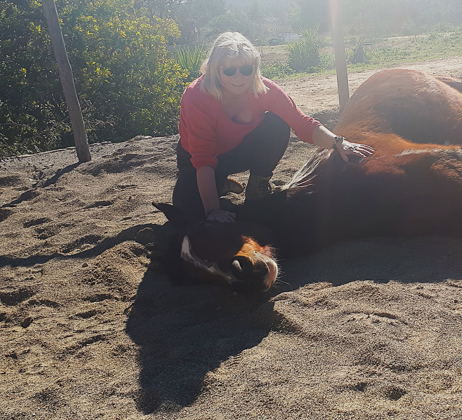 Yoga & Healing with Horses