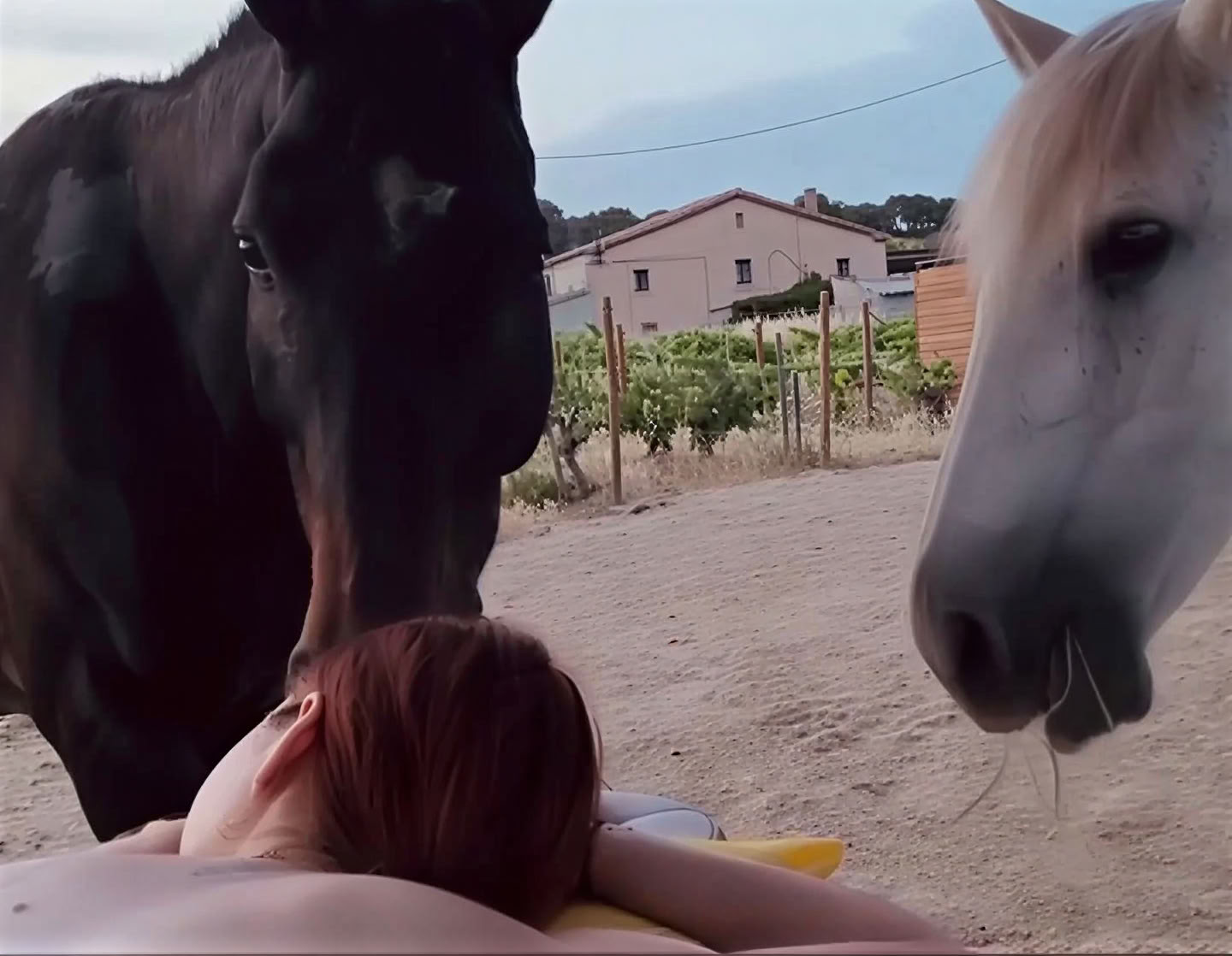 Yoga & Healing with Horses