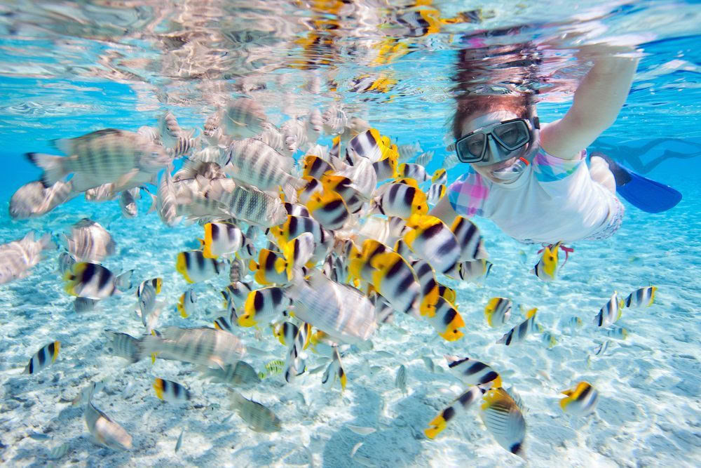 Waterlover Retreat Package