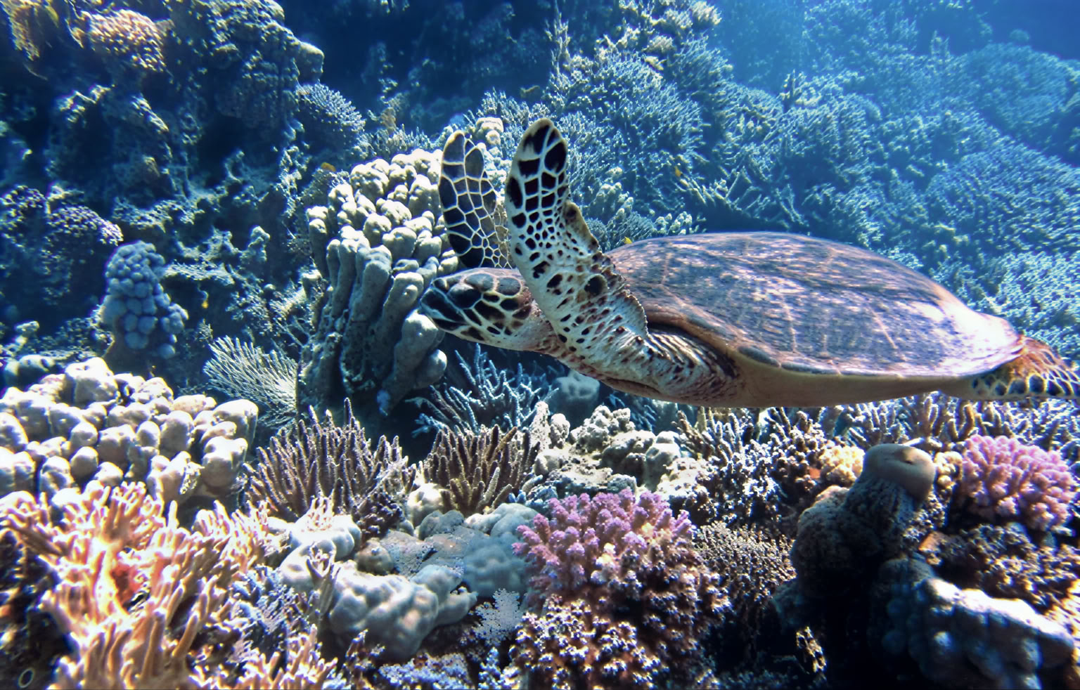 Waterlover Retreat Package