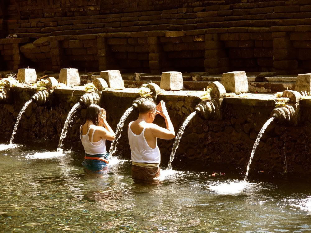 Wellness Retreat Package