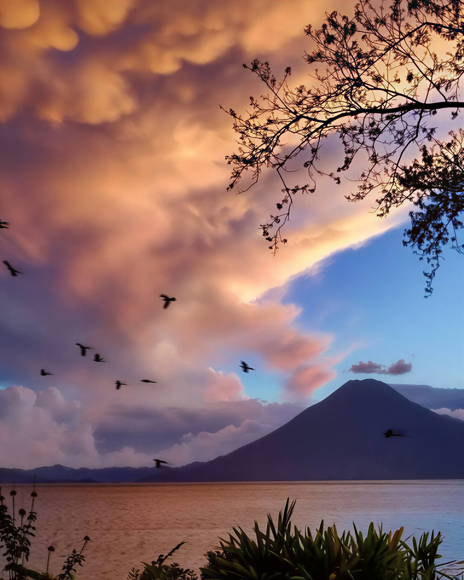 Heart of the Earth: Yoga & Nature Retreat