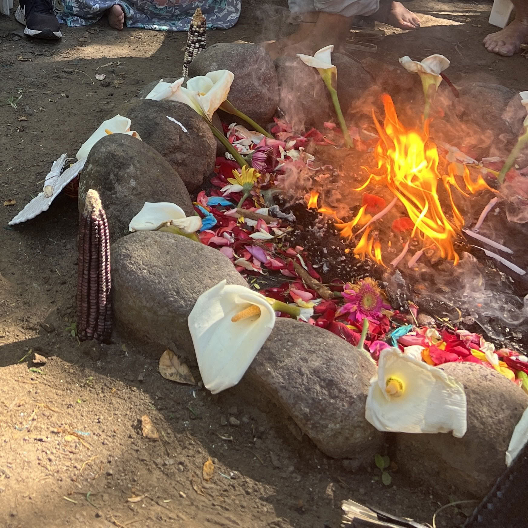 Turtle Medicine: Yoga, Breath & Writing Retreat