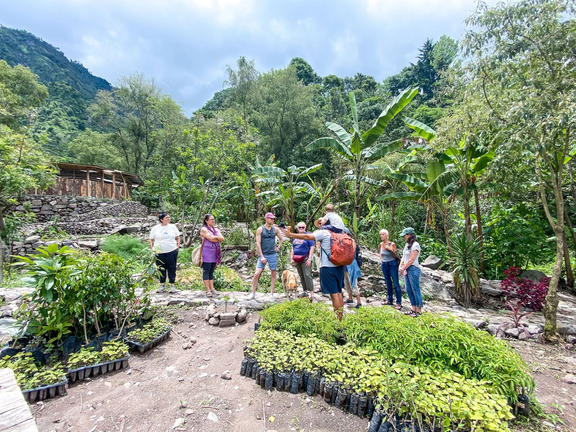6-Day Guatemala Yoga Retreat – September 1-6, 2026 with Michelle Fajkus