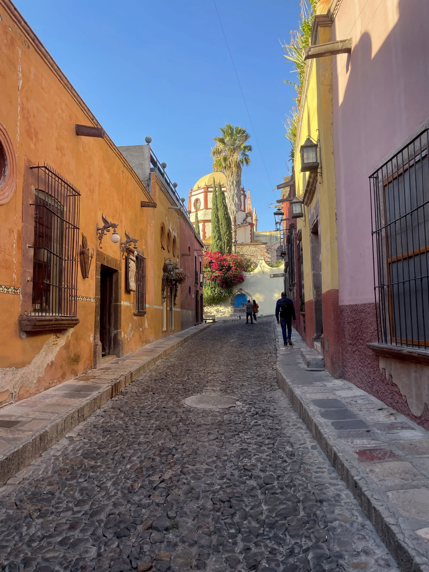 6-Day Mexico Retreat