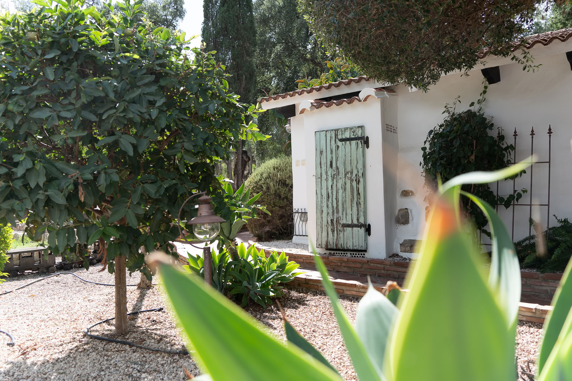 Ashtanga Yoga Retreat in Spain with Philippa Asher