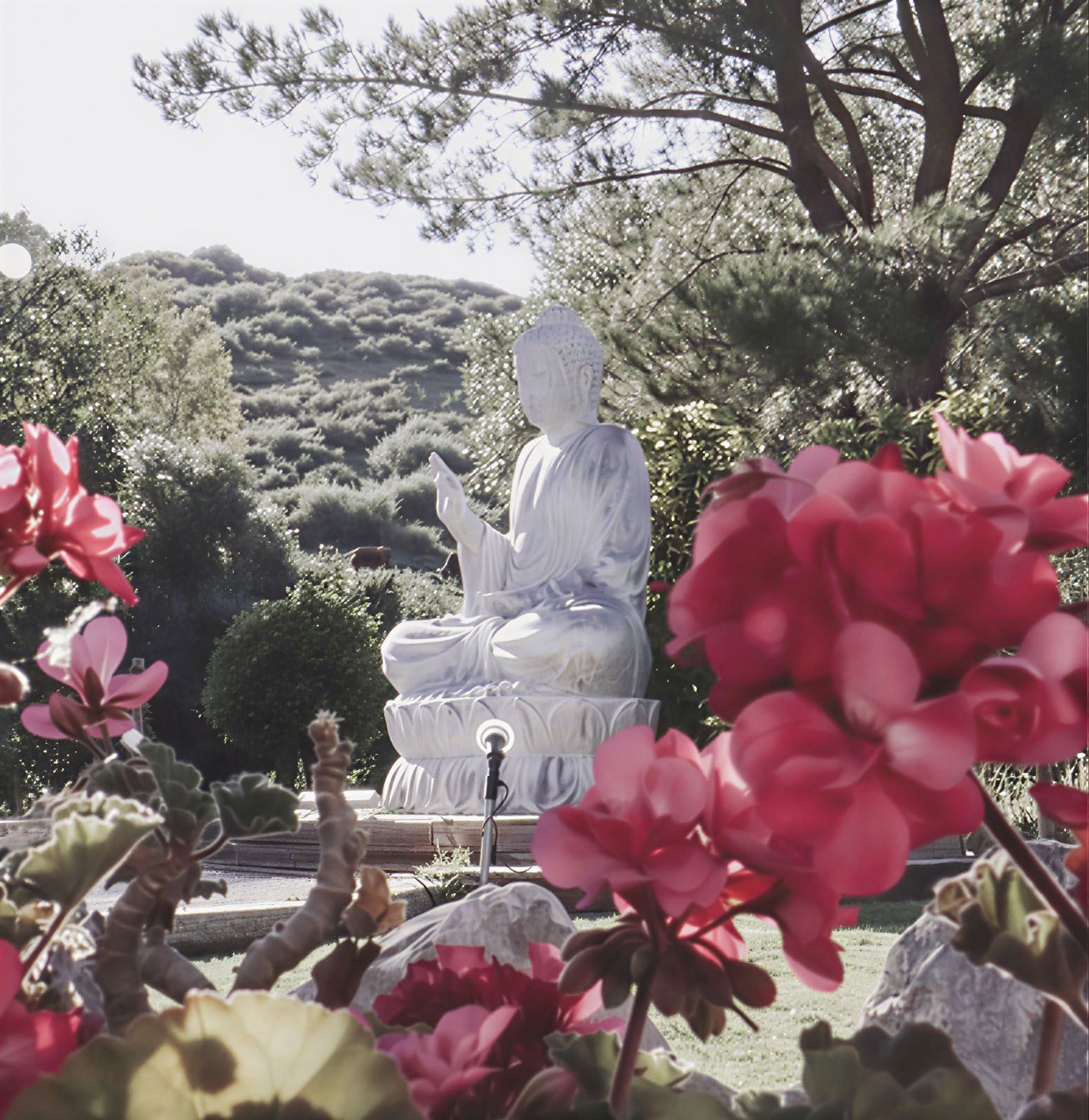 Andalusian Yoga Retreat