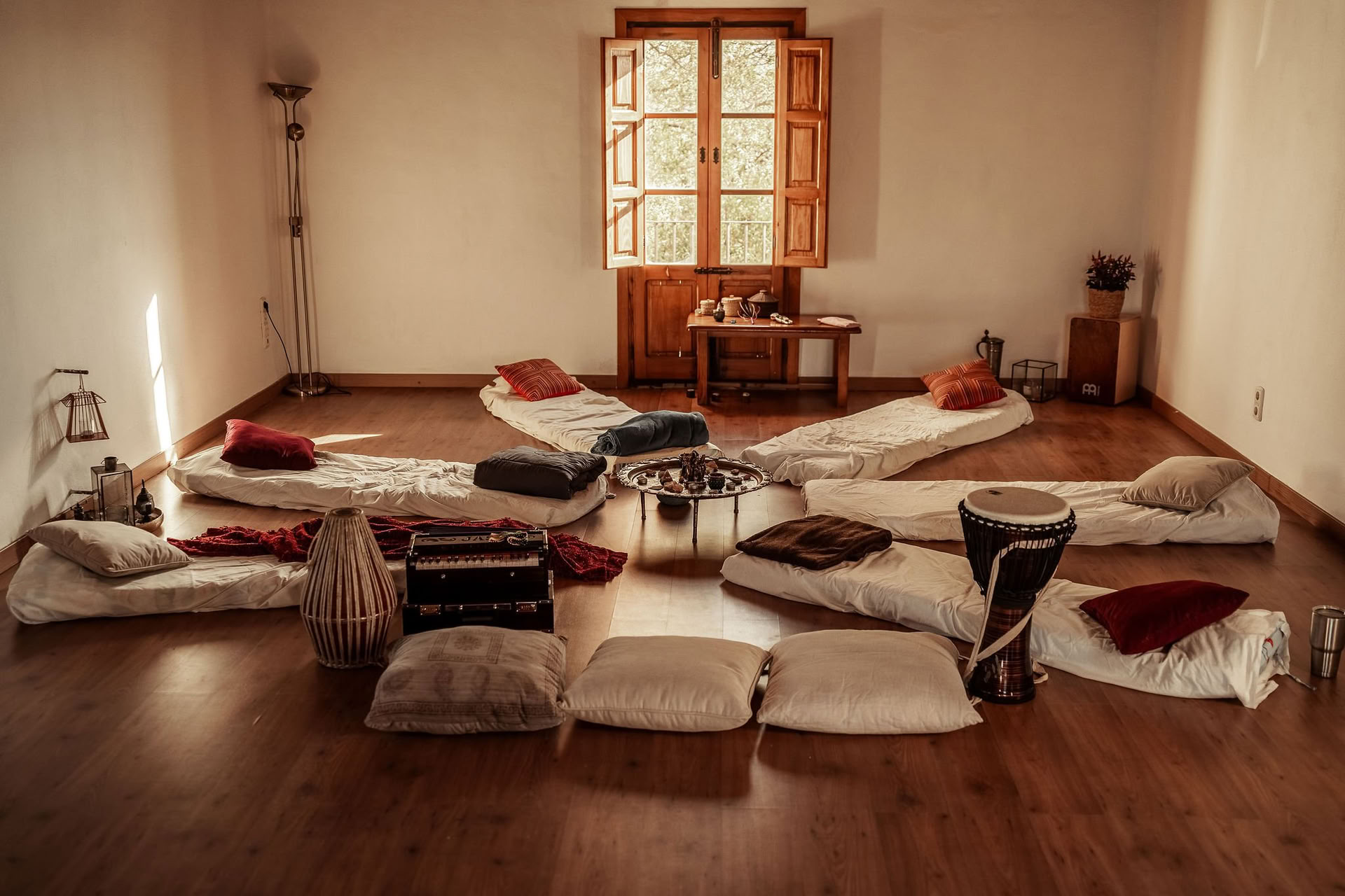 Breathwork & Meditation & Microdosing Day Retreat
