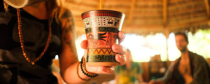 8 Day | 7 Night Huachuma San Pedro Trauma Informed Immersion – July