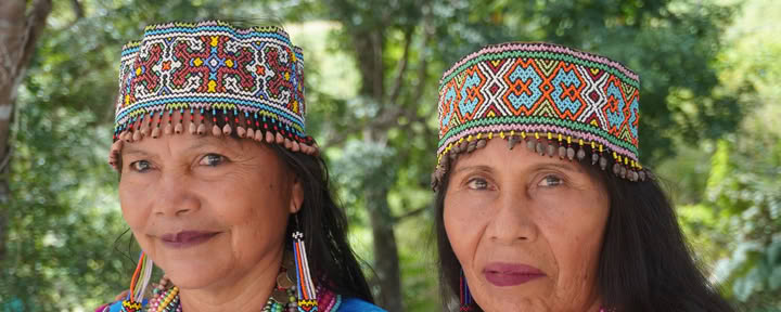 8 Day | 7 Night Trauma Informed Shipibo Ayahuasca Immersion
