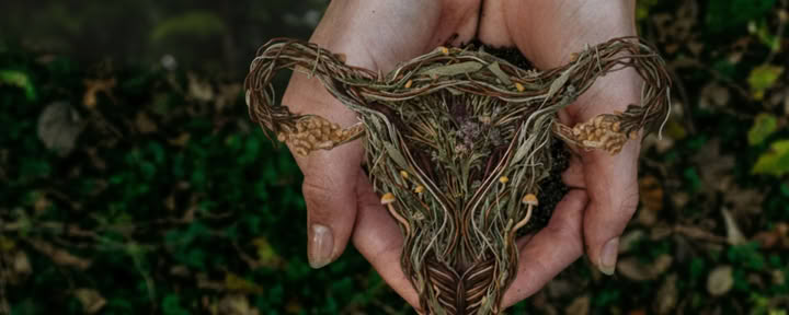 Wisdom Rising | A Women’s Psilocybin & Perimenopause Immersion- Waitlist Only Dates TBA