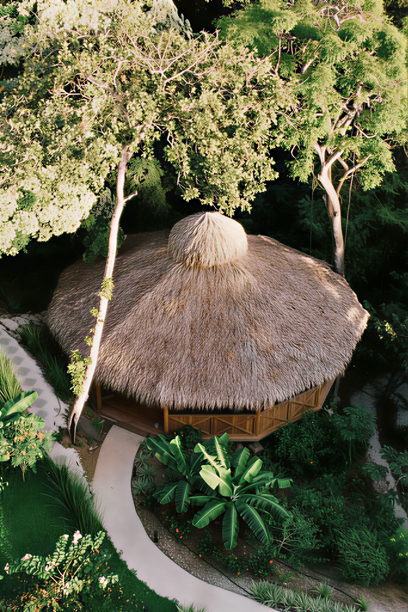 8 Day | 7 Night Trauma Informed Transformative New Year's Huachuma Immersion