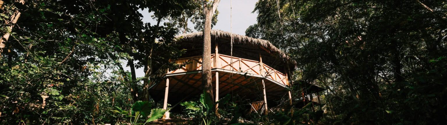 Embodied Sovereignty | A Women's Only San Pedro Retreat