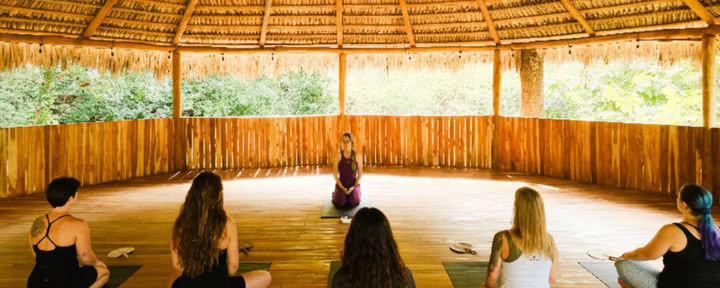 Embodied Sovereignty | A Women's Only San Pedro Retreat