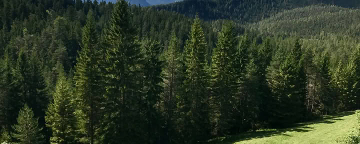 Yoga & Hiking in the Austrian Alps