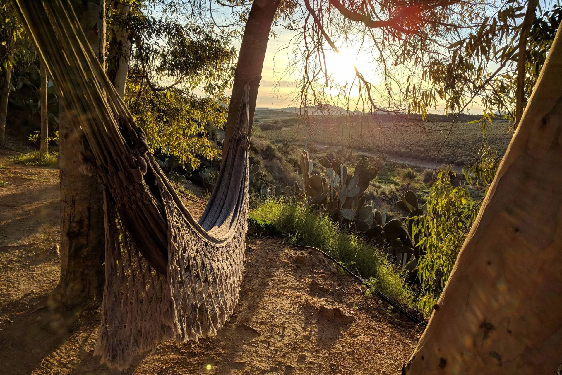 Dharma Retreat – October 21-25, 2026 - Spain