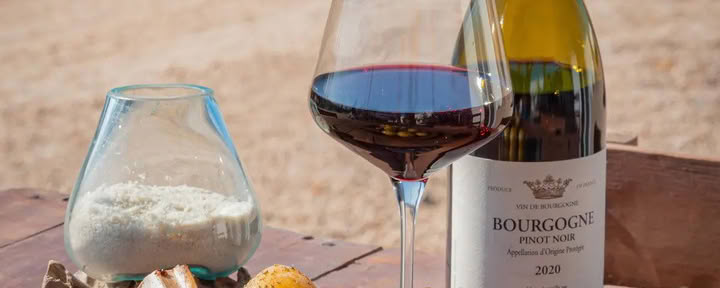 Mexican Cuisine and Wine Pairing