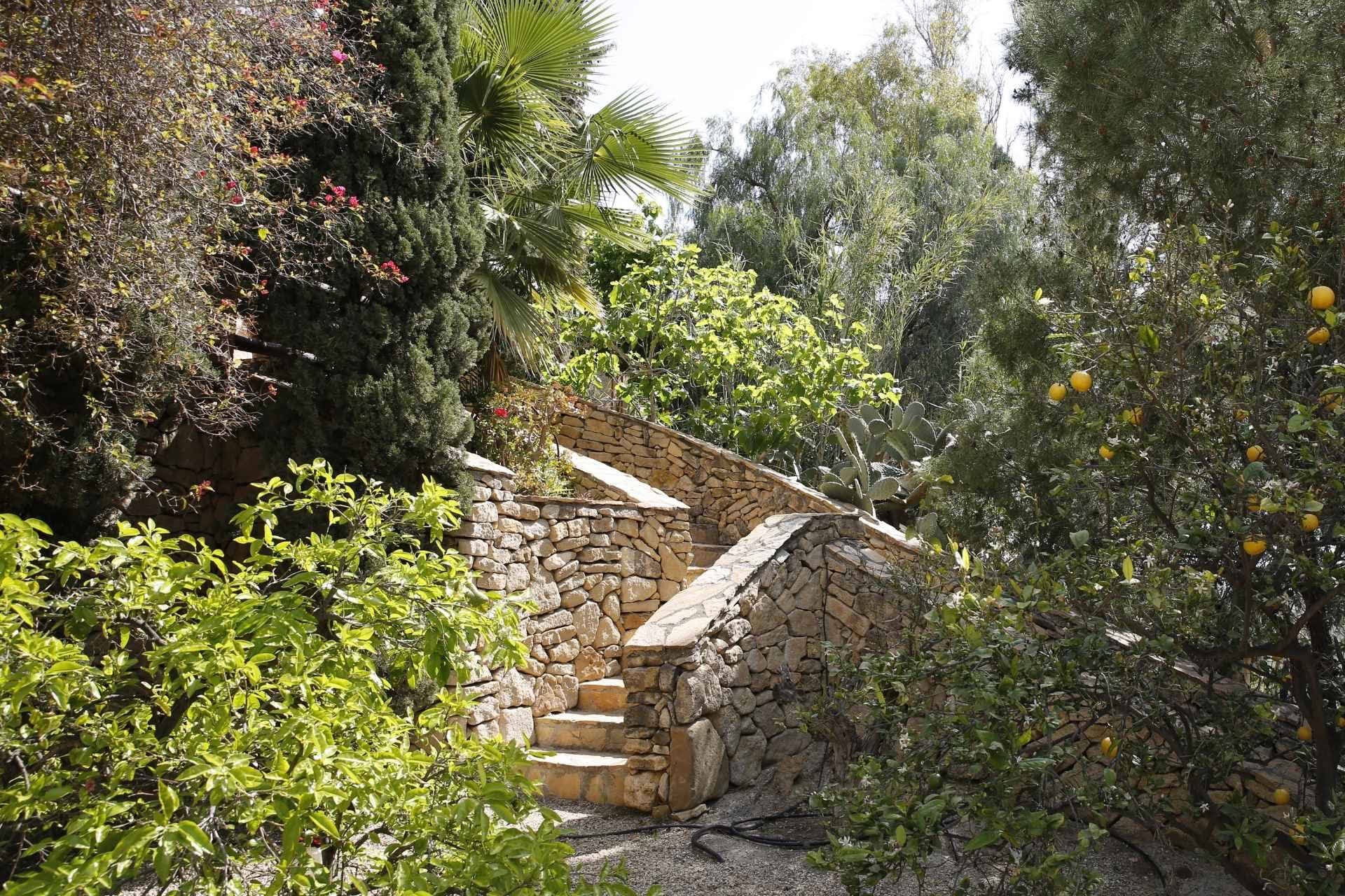 Therapists Retreat – June 16-21, 2026 - Spain