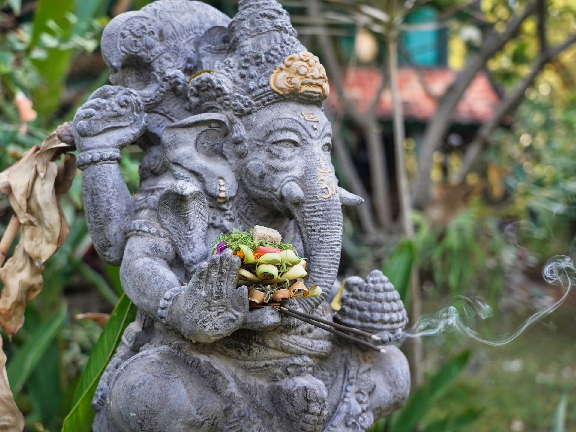 Yoga Teacher Training Course (TTC)