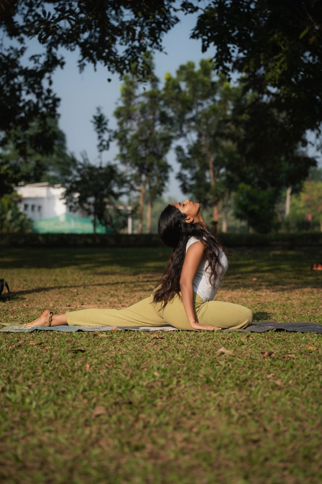 Regenerative Reset Retreat